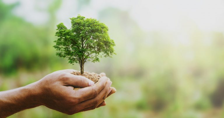 Soziales Engagement - Mann hält kleiner Baum in den Händen