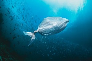 Fisch aus Plastiktüte in Ozean zeigt Notwendigkeit für ökologische Nachhaltigkeit auf